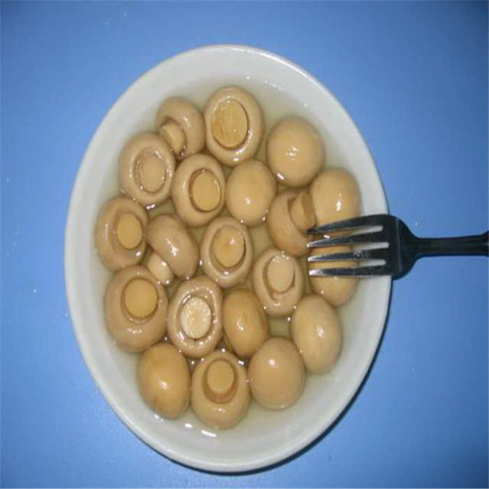 canned mushroom in China